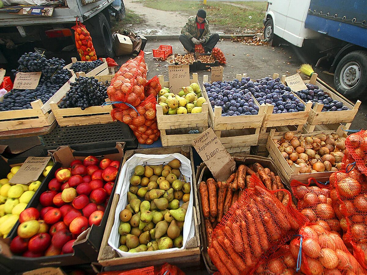 Торговля продуктами ооо. Фрукты на рынке. Овощи на рынке. Продовольственный рынок. Рынок продуктов.