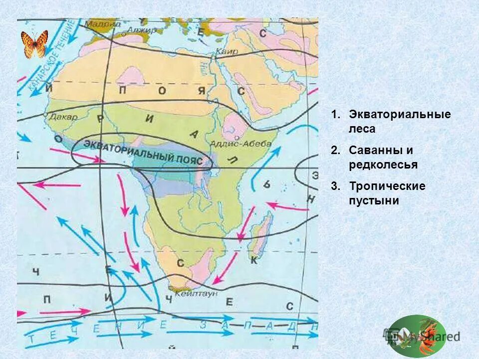 Течения африки на карте 7 класс. Течения африки. климатические пояса и области африки. теплые течения африки. течения африки на карте.