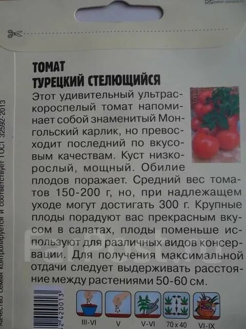 Томат сомма f1 описание. Томат турецкий характеристика. Томат турецкий характеристика. Томат baron f1 legutko. Томат сомма f1 10шт/10.