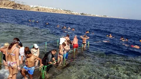 Купаются ли в египте в апреле