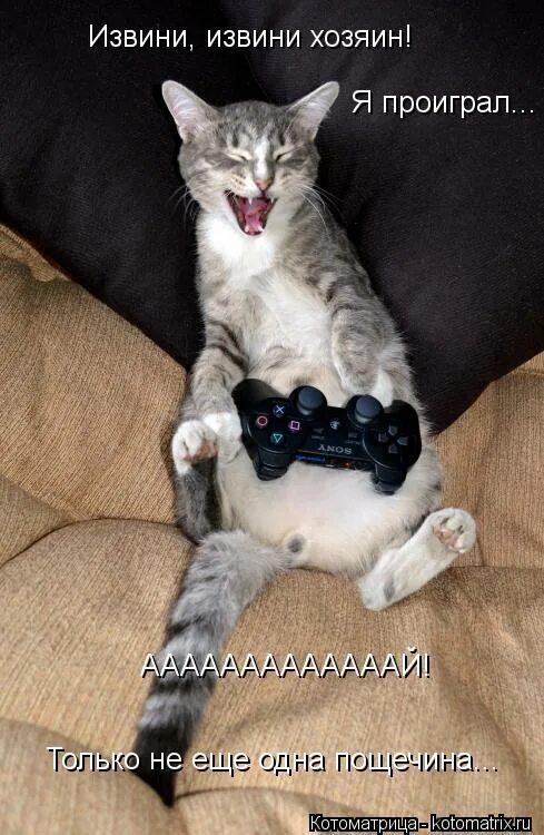 ты проиграл. проиграл мем. я проиграл. я проиграл. я проиграл.