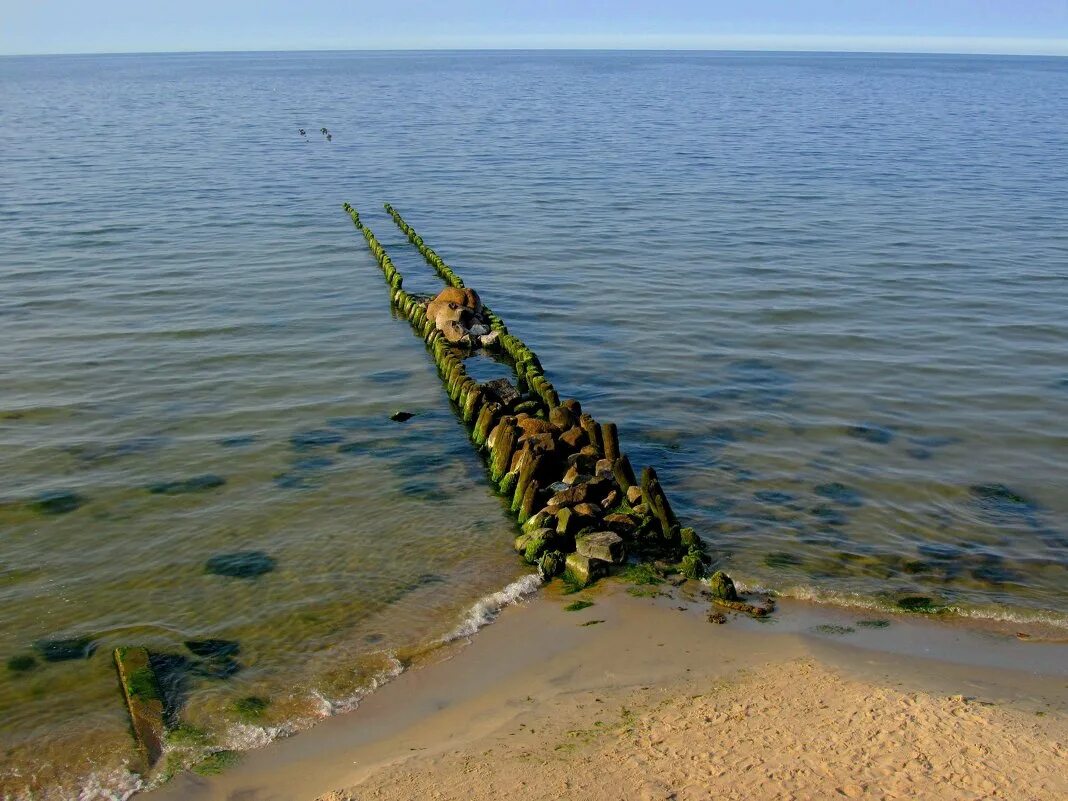 Лаптау зеленоградск. Вода в Пионерском Калининградской.