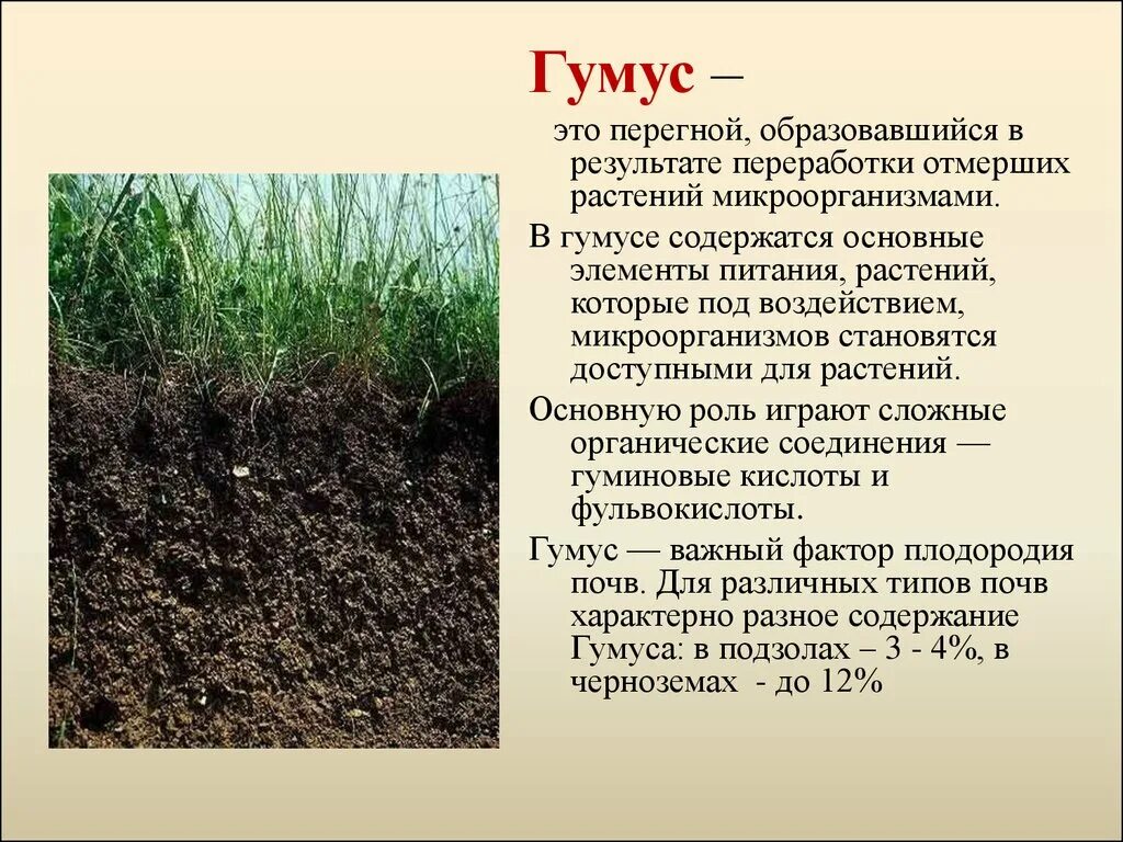 Какие почвы малоплодородны. Гумуса в Плодородном слое. Почва гумус плодородие. Почвенный гумус. Перегной гумус.