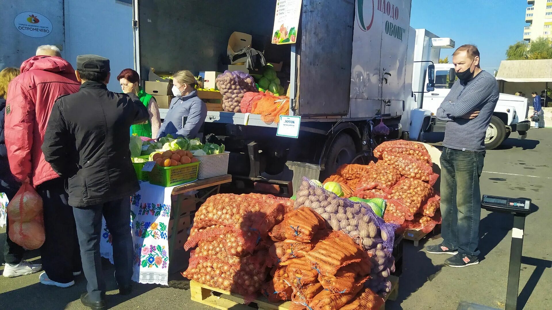 Купить овощи беларусь. Ярмарка в высоком качестве. Рынок Домодедово. Продажа овощей и фруктов бизнес. Что купить в Бресте.