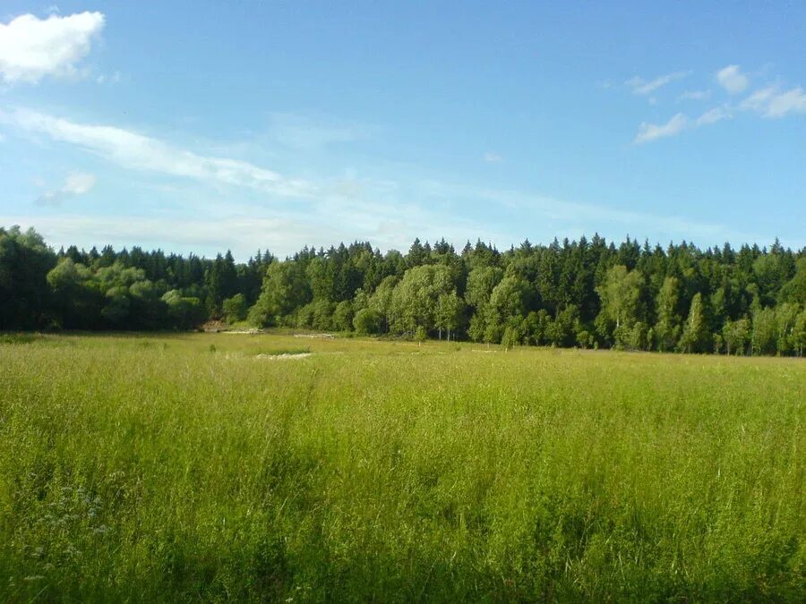 Участок в Московская область, Домодедово городской округ, д. Вяльково ., Купить