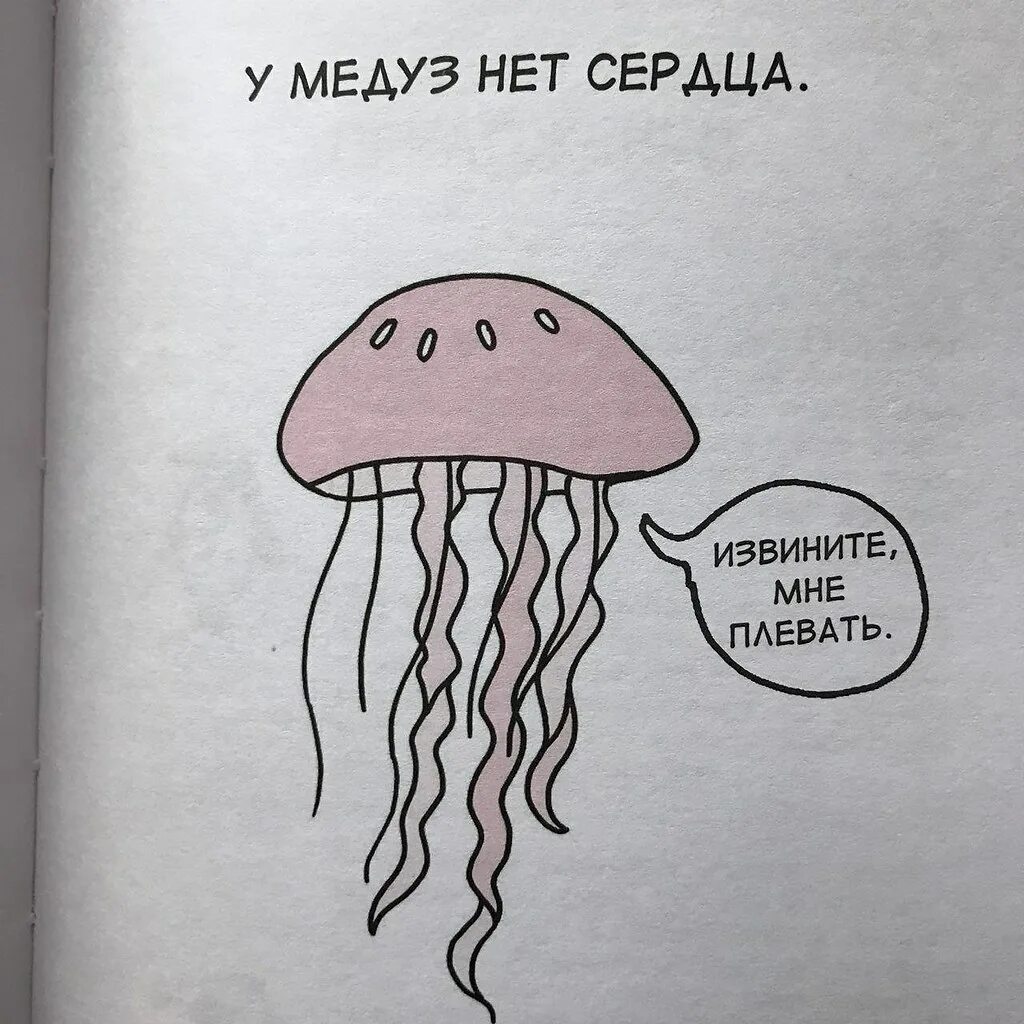 Приколы медузы. Боязнь медуз. Смешная медуза. Медуза прикол. Мозг медузы.