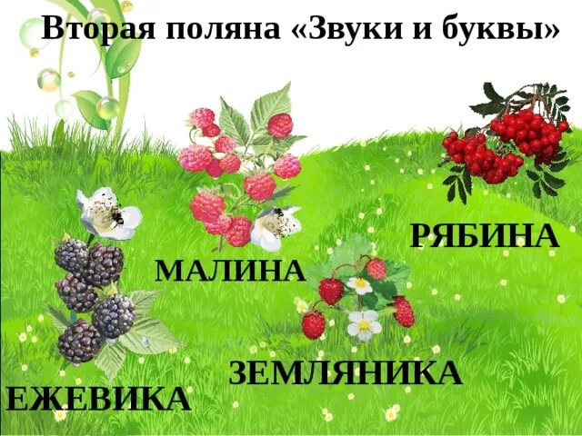 Полянка звуки и буквы