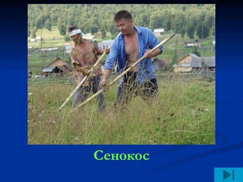 Сенокос в деревне. Прикольные открытки про сенокос. Сенокос стихотворение. Сенокос загадка. Лето в деревне сенокос.