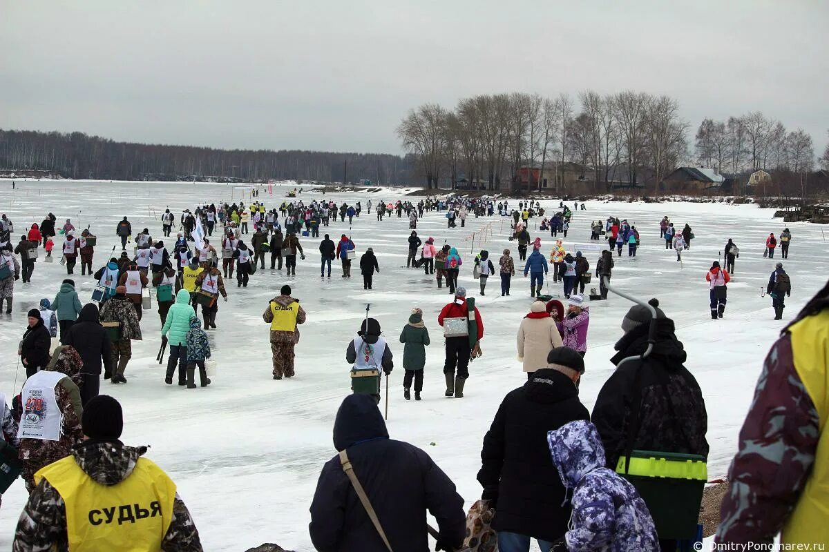 Рыболовный фестиваль чкаловская рыбалка. Рыболовный фестиваль чкаловская рыбалка. Чкаловская рыбалка. Чкаловск рыбалка 2022. Международный фестиваль подледного лова «чкаловская рыбалка».