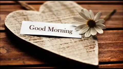 Videos morning