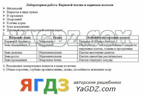 Биология 6 класс лабораторная номер 6