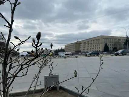 Потепление на ставрополье