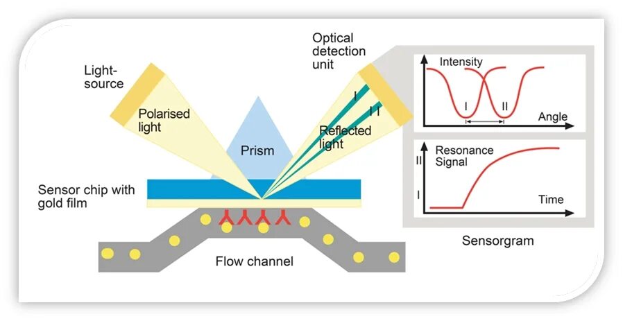 Optical detection