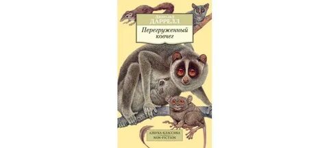 Слушать даррелла