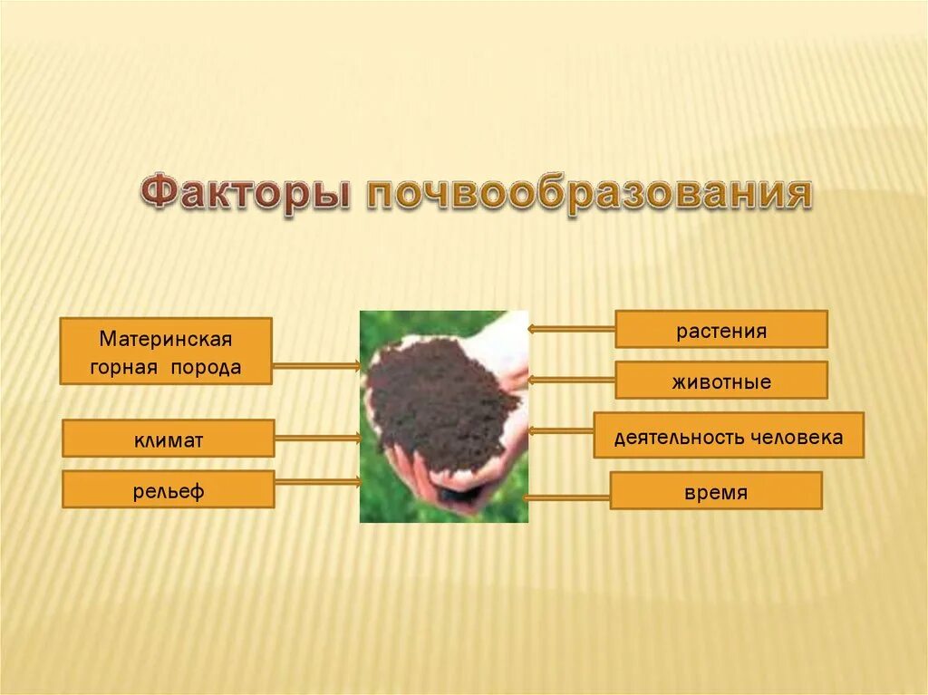Факторами формирования почв являются. Факторы почвообразования. почвообразующие факторы. причины почвообразования. факторы почвообразования схема.