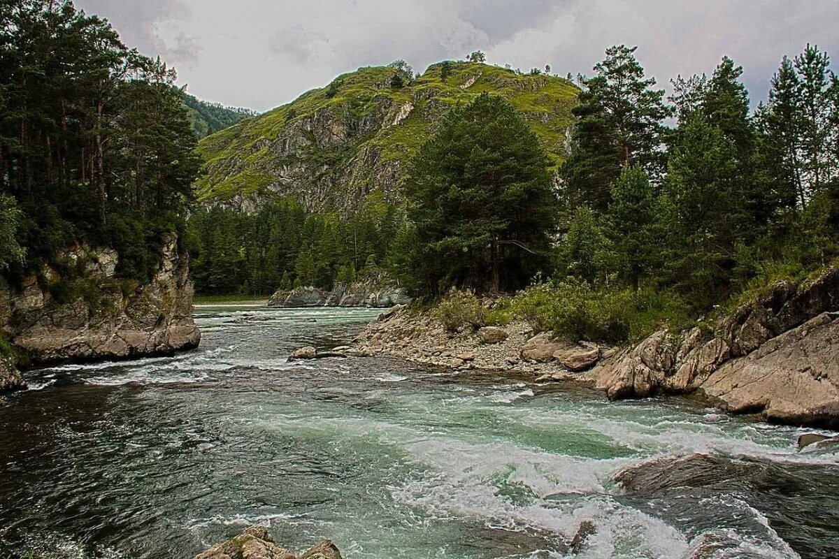 Горный край вода. Река Катунь горный Алтай. Алтайский край Катунь река горный Алтай. Горно Алтайск река Катунь. Алтайская река Катунь.