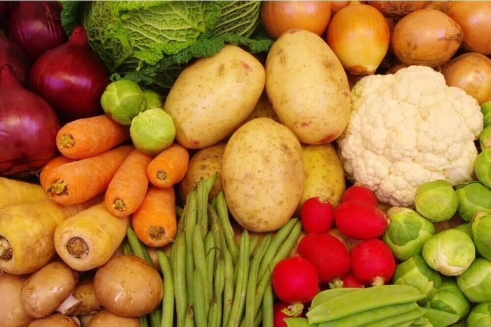 Картофель и капуста. Овощи картофель лук. Картошка с овощами. Картофель и морковь. Что вперед капусту или картошку