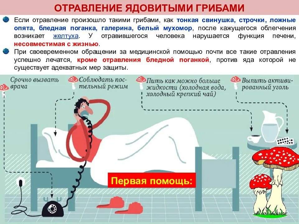 Через сколько после защиты. Первая помощь при отравлении ядовитыми грибами. Первая помощь если произошло отравление ядовитыми грибами. Отравление грибами симптомы. Симптомы отравления ядовитыми грибами.