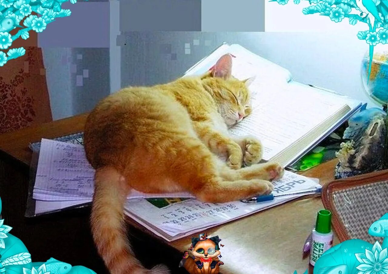 Стараюсь учиться лучше. Кот на работе. Кот учит уроки. Котик учит уроки. Кот учеба.