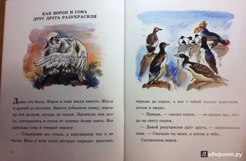 Я боюсь вороны совы и хорьков