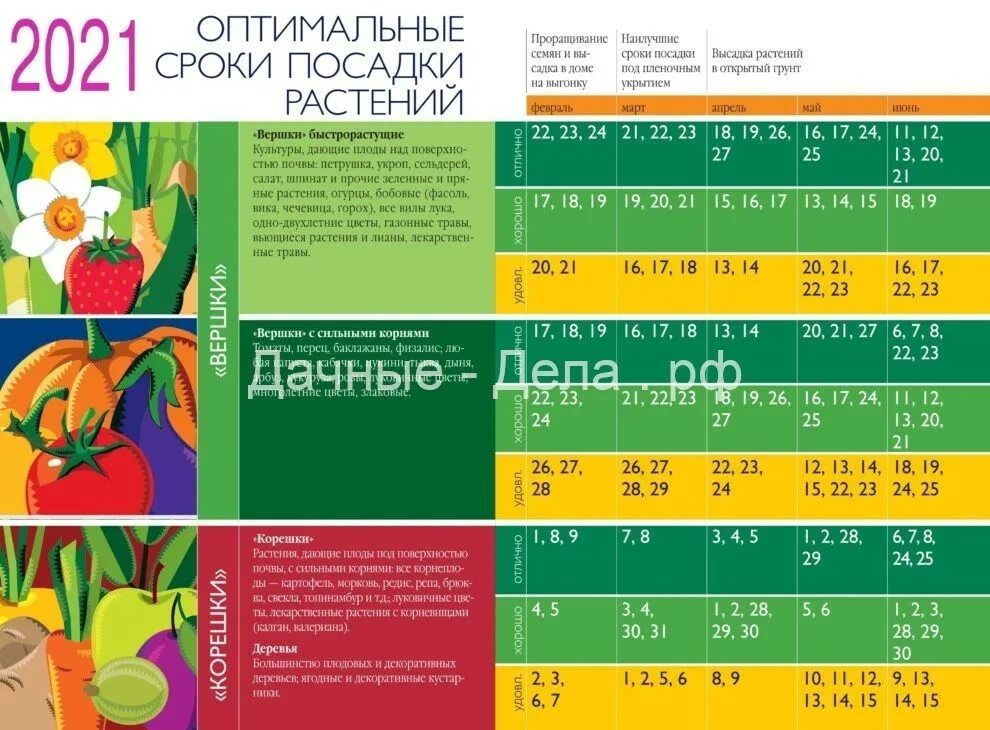 Посевной календарь цветовода на 2024 год. Лунный календарь для посадки растений таблица на 2021 год. Лунный календарь на 2021 год садовода и огородника. Лунный посевной календарь на 2023 год садовода. Лунный календарь посева на 2023 год садовода.