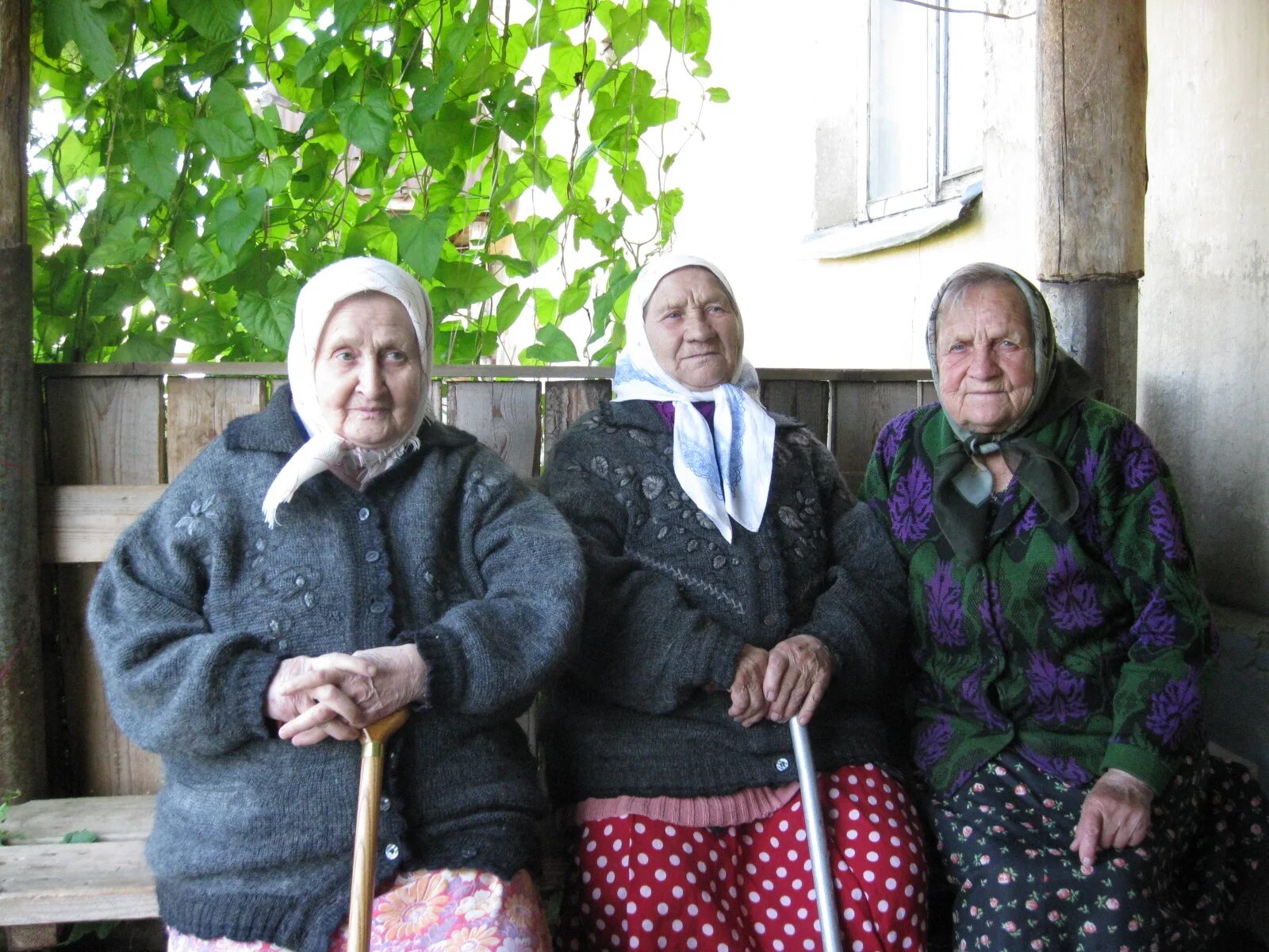 Бабушки тройничек. Три старые бабки. Бабки на лавке в деревне. Бабушки на лавочке в деревне. Бабушки на скамейке в деревне.