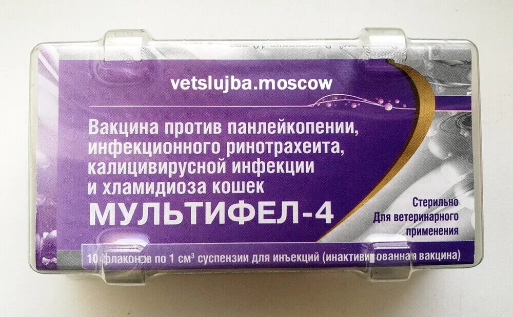Вакцина для котят мультифел. Мультифел 8 для кошек. Мультифел-4, вакцина для кошек. Мультифел-4 для кошек ревакцинация. Мультифел-4 для кошек 10 доз *1/шт.