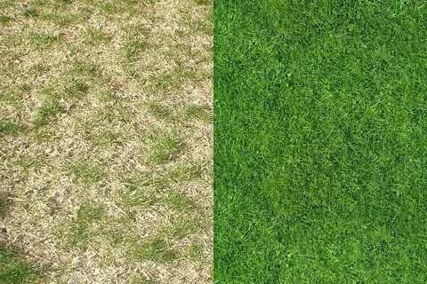 After grass