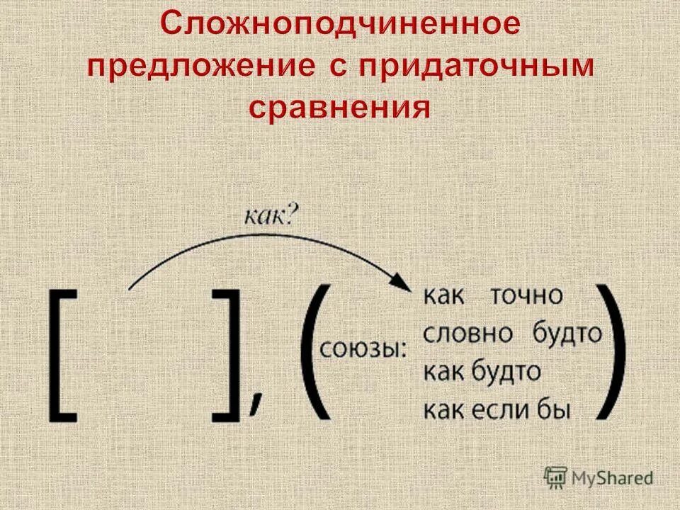 Сколько сложноподчиненных предложений