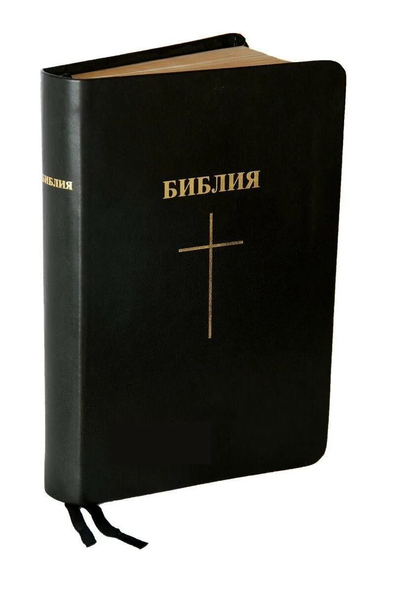 Книга библа. Библия книга. Библия обложка. Протестантская Библия. Библия обложка книги.