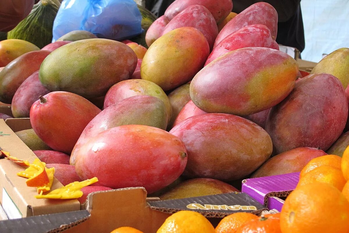 Манго фрукт как есть. Манго (фрукт). Манго Тайланд. Таиландские фрукты манго. Турецкое манго.