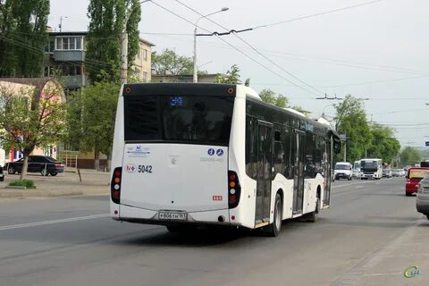 161 автобус спб