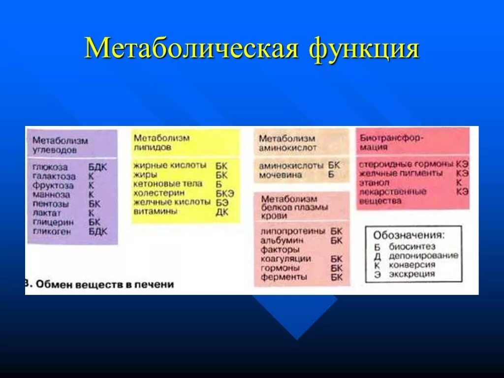 Функция обмен веществ функции. Функции метаболизма. обменная функция печени. печень и её метаболические функции. барьерно метаболическая функция печени.