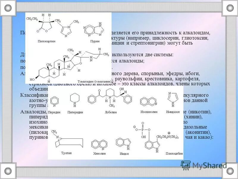 структурное соединение гена. организация генома прокариот оперон. структурное соединение гена. структурное соединение гена. стереонерегулярная структура полимера это.