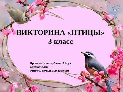 Презентация о птицах для начальной школы