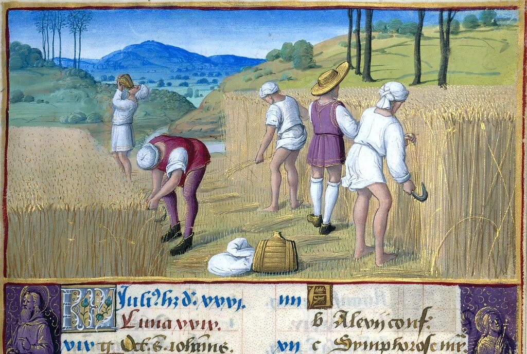 Тру кресьян в средневековье деревни. Какие причины низкой урожайности в средние века. Причины уклонения урожайности. Крестьянская община в средневековой европе. Сельское хозяйство 11 в средневековье франция.