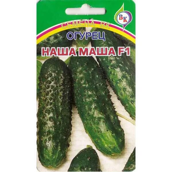 Огурцы сорт маша характеристика. Огурцы машенька. огурец маша ф1. огурец маша f1 5шт/10. огурцы машенька фото.