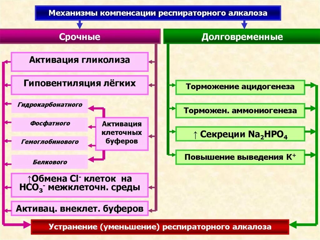 Механизм компенсации газового алкалоза. Механизмы компенсации респираторного алкалоза. Механизмы компенсации метаболического алкалоза. Компенсированный дыхательный алкалоз.