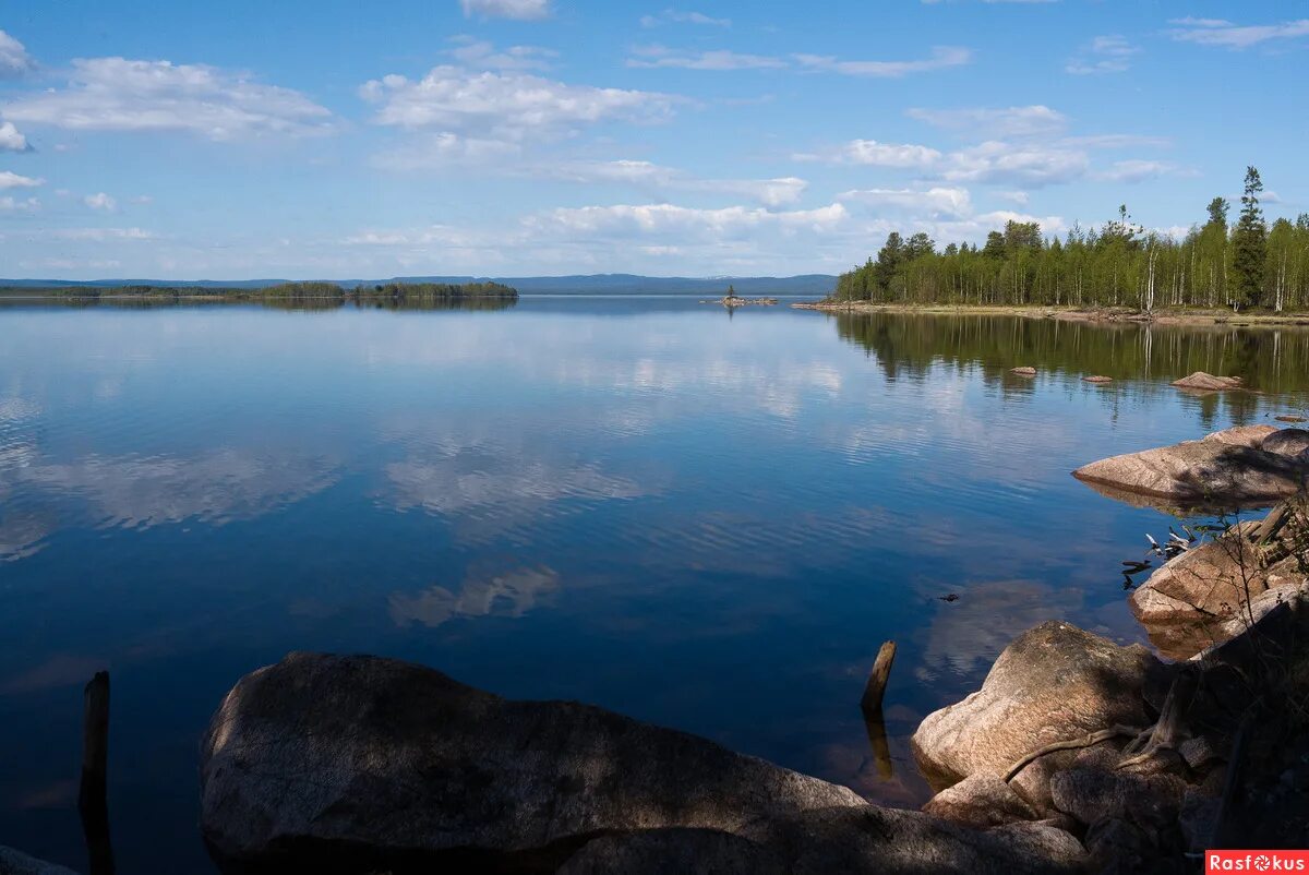 озеро соколы. озеро соколы. озеро фалькон. лагерь озерки вологодская область. река вычегда сыктывкар.