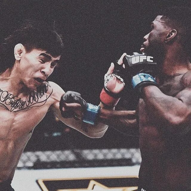 Fight mode