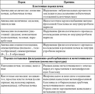 Онтофилогенетические пороки