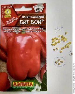 Перец биг бой описание