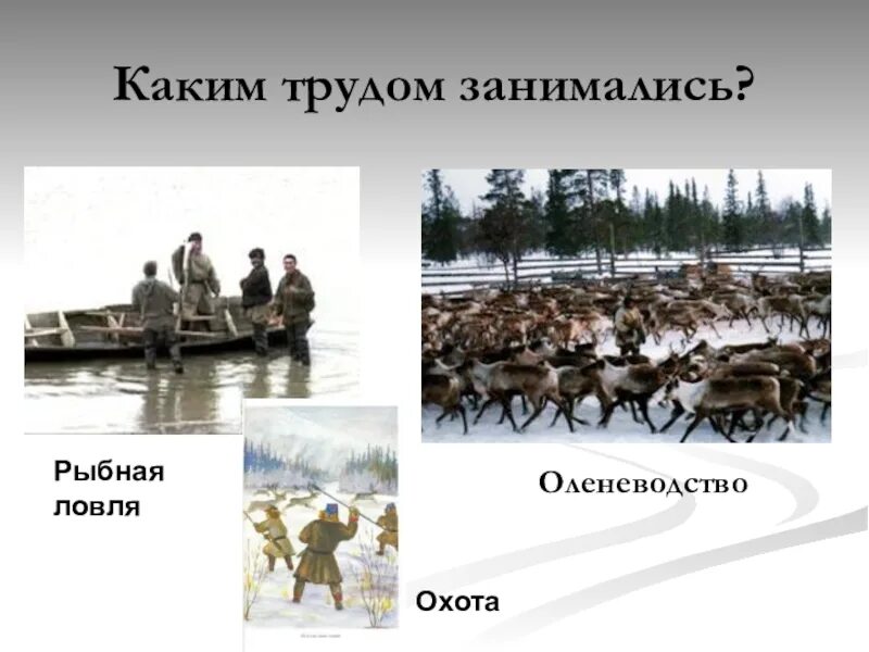 Морской зверобойный промысел и оленеводство какой народ. Саамы рыболовство и охота. оленеводство, рыболовство и охота. какой народ занимается оленеводством и рыболовством. рыболовство коренных жителей саам.
