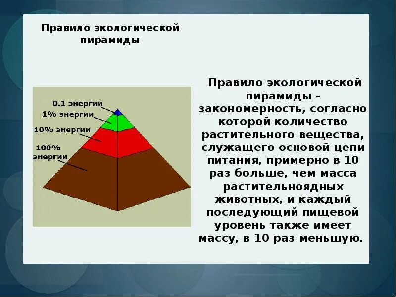 Правило экологической пирамиды. Правило пирамиды энергии. Экологическая пирамида. Закономерность экологической пирамиды.