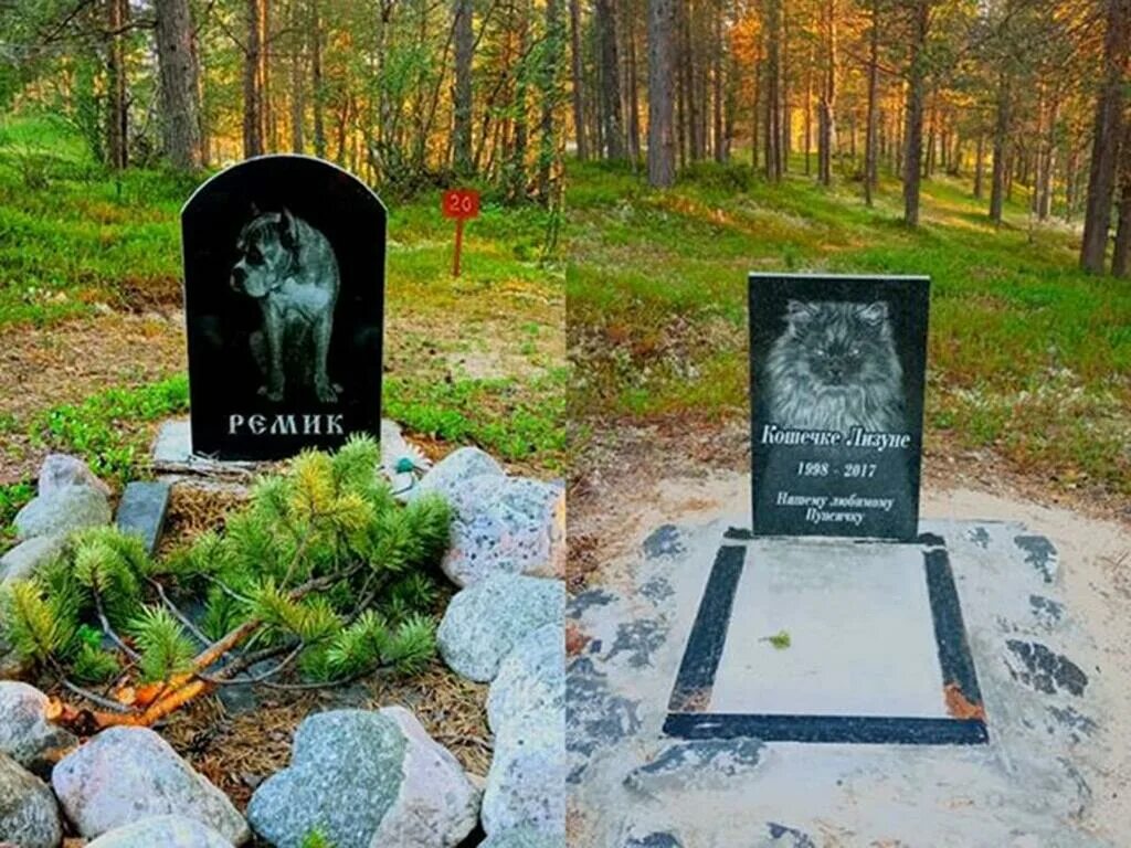 Кладбище нерюнгри. Кладбище нерюнгри. Кладбище нерюнгри. Шахтерское кладбище. Кладбище нерюнгри.