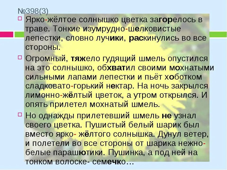 Яркое желтое круглое солнышко цветка загорелось в траве. Текст ярко желтые. Тяжело гудящий