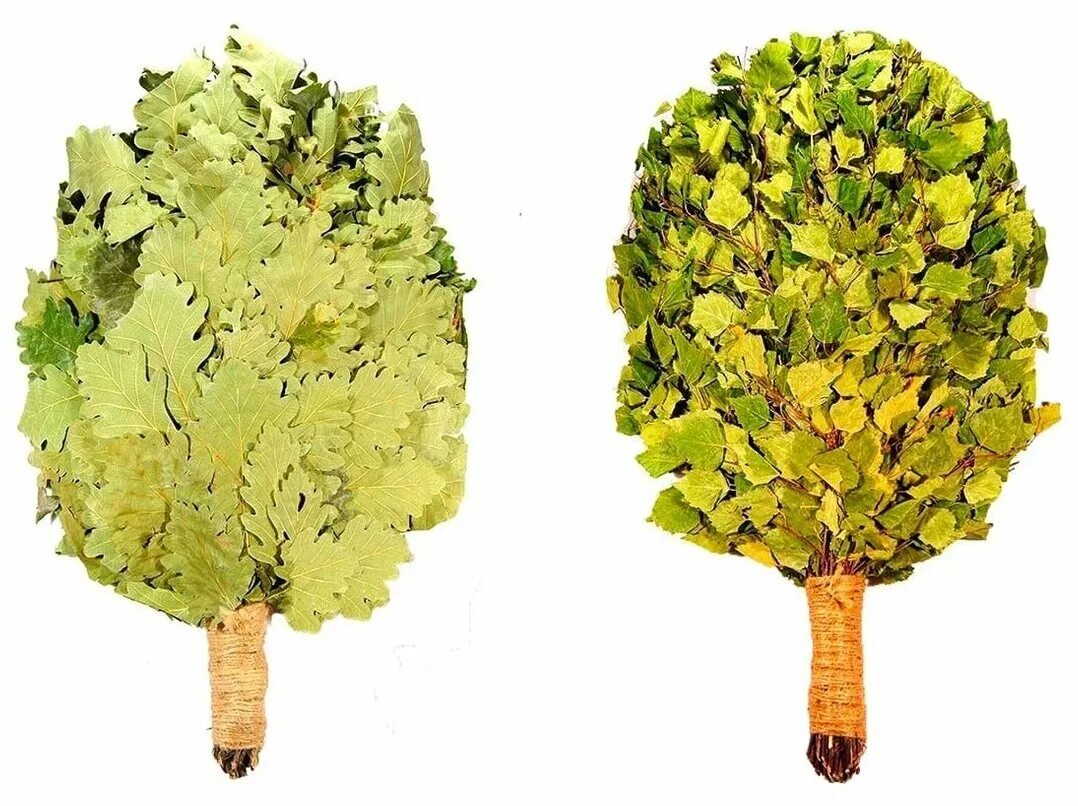 березовый и дубовый веник. какой веник лучше березовый или дубовый. какой веник лучше березовый или дубовый. заготовка веников для бани. какой веник лучше березовый или дубовый.