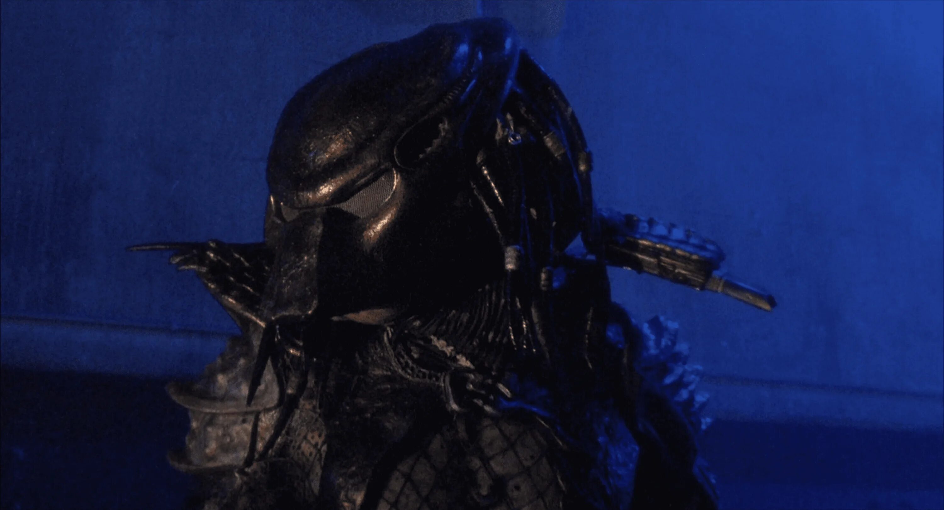 Хищник predator. Укр щать хищника приг ревший к ллекционный. Хищник предатор. Укр щать хищника приг ревший к ллекционный. Укр щать хищника приг ревший к ллекционный.