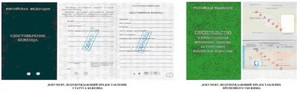 Временное убежище предоставляется