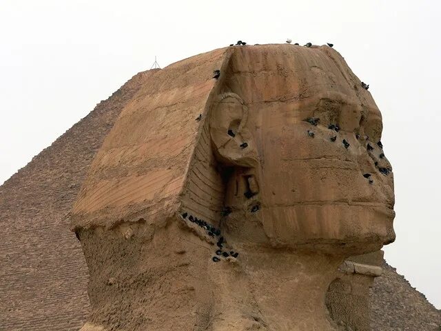 Почему у сфинкса нет носа. Почему у сфинкса нет носа. Почему у сфинкса нет носа. Великий сфинкс из гизы. Сфинкс египет без носа.